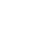 assess icon