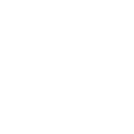 critical protection icon